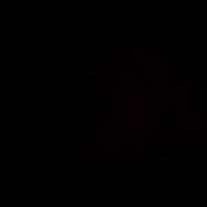 Meet your Posher, Charles